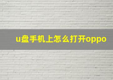 u盘手机上怎么打开oppo