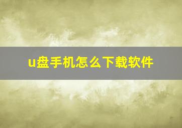 u盘手机怎么下载软件