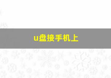 u盘接手机上