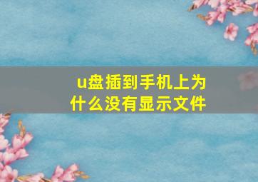 u盘插到手机上为什么没有显示文件