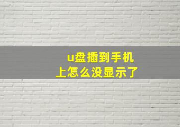 u盘插到手机上怎么没显示了