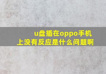 u盘插在oppo手机上没有反应是什么问题啊