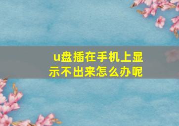 u盘插在手机上显示不出来怎么办呢