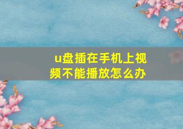 u盘插在手机上视频不能播放怎么办