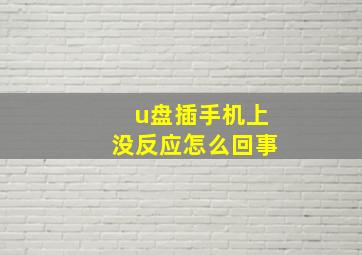 u盘插手机上没反应怎么回事