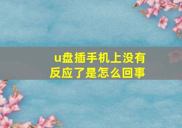 u盘插手机上没有反应了是怎么回事