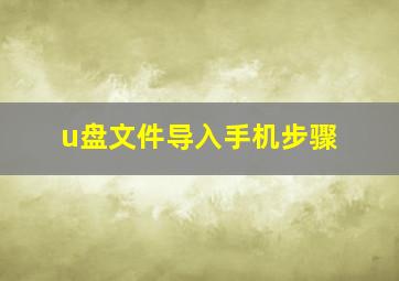 u盘文件导入手机步骤