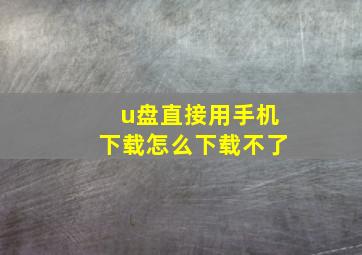 u盘直接用手机下载怎么下载不了