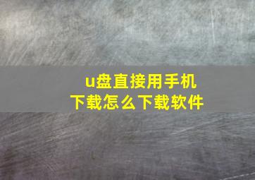 u盘直接用手机下载怎么下载软件