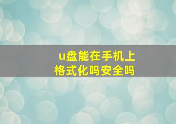 u盘能在手机上格式化吗安全吗