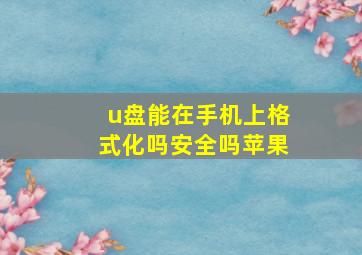 u盘能在手机上格式化吗安全吗苹果