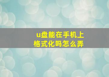 u盘能在手机上格式化吗怎么弄