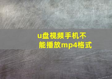 u盘视频手机不能播放mp4格式