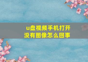 u盘视频手机打开没有图像怎么回事