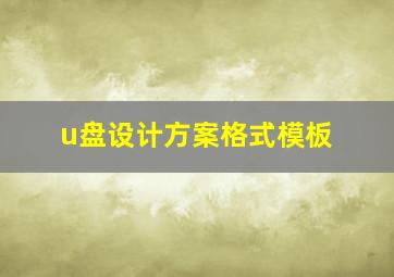 u盘设计方案格式模板