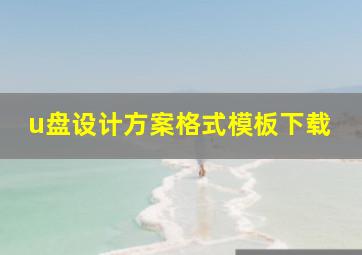 u盘设计方案格式模板下载