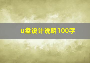 u盘设计说明100字