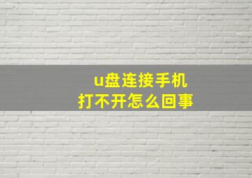 u盘连接手机打不开怎么回事