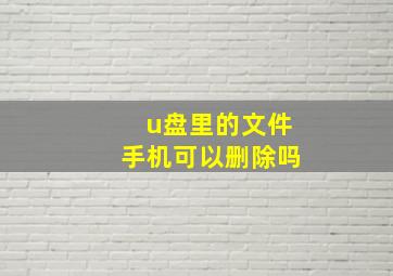 u盘里的文件手机可以删除吗