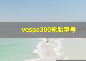 vespa300轮胎型号