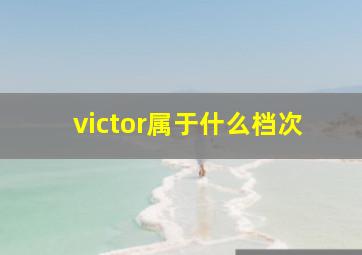 victor属于什么档次