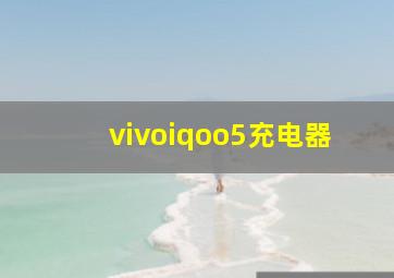 vivoiqoo5充电器