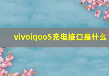 vivoiqoo5充电接口是什么