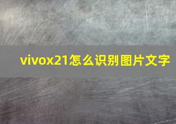 vivox21怎么识别图片文字