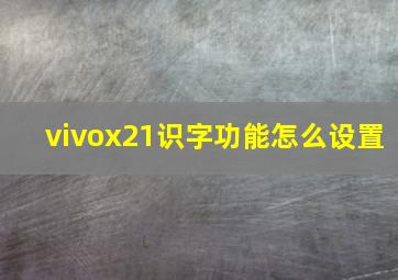 vivox21识字功能怎么设置