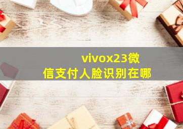 vivox23微信支付人脸识别在哪