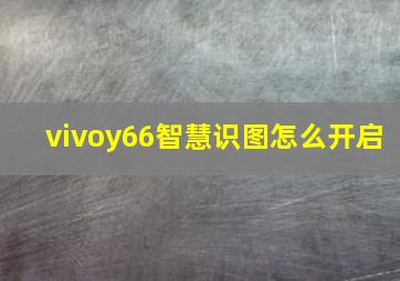 vivoy66智慧识图怎么开启