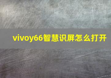 vivoy66智慧识屏怎么打开