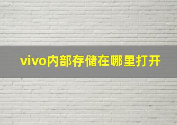 vivo内部存储在哪里打开