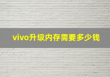 vivo升级内存需要多少钱