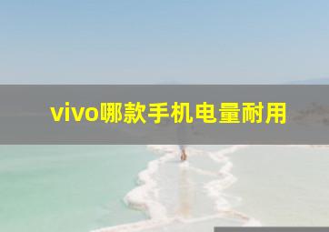 vivo哪款手机电量耐用