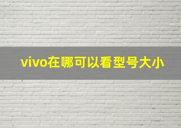 vivo在哪可以看型号大小