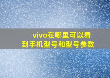 vivo在哪里可以看到手机型号和型号参数