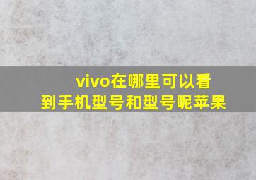 vivo在哪里可以看到手机型号和型号呢苹果