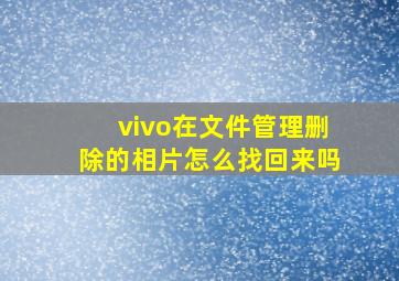 vivo在文件管理删除的相片怎么找回来吗