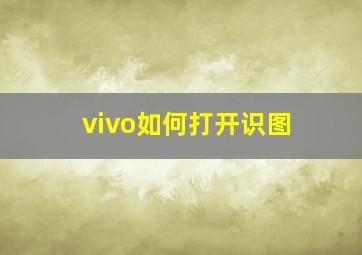 vivo如何打开识图