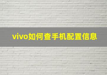 vivo如何查手机配置信息