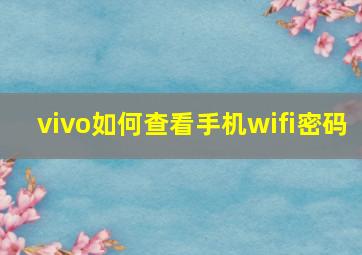 vivo如何查看手机wifi密码