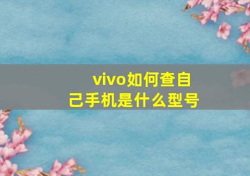 vivo如何查自己手机是什么型号