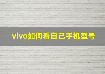 vivo如何看自己手机型号