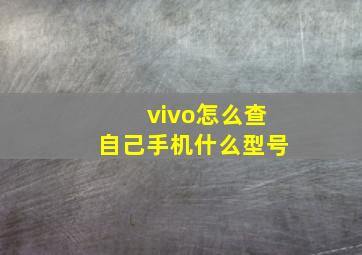 vivo怎么查自己手机什么型号