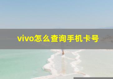 vivo怎么查询手机卡号