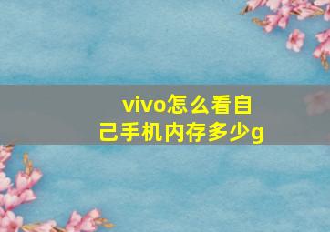 vivo怎么看自己手机内存多少g