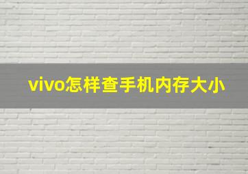 vivo怎样查手机内存大小