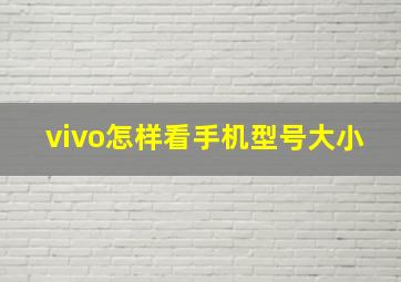 vivo怎样看手机型号大小