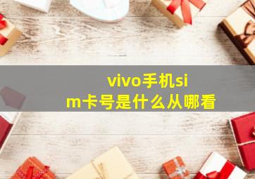 vivo手机sim卡号是什么从哪看